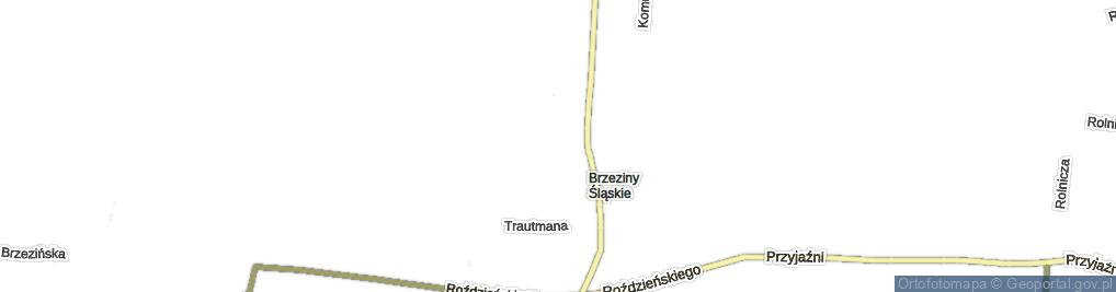 Zdjęcie satelitarne Drzymały Michała ul.